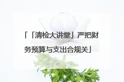「清检大讲堂」严把财务预算与支出合规关