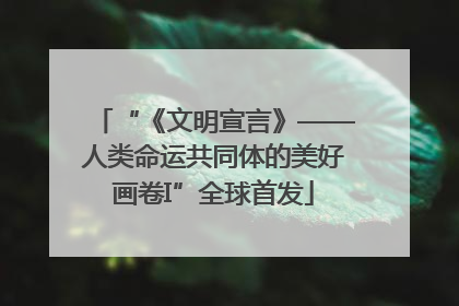 “《文明宣言》——人类命运共同体的美好画卷I”全球首发