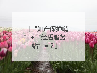 “知产保护哨”+“经盾服务站”=？
