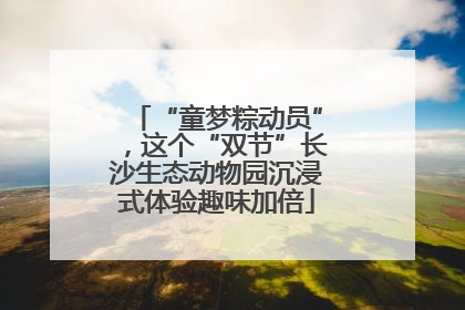 “童梦粽动员”，这个“双节”长沙生态动物园沉浸式体验趣味加倍