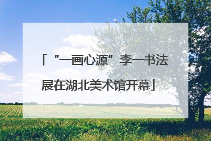 “一画心源”李一书法展在湖北美术馆开幕