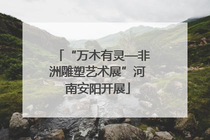 “万木有灵—非洲雕塑艺术展”河南安阳开展
