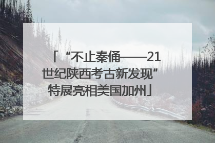 “不止秦俑——21世纪陕西考古新发现”特展亮相美国加州