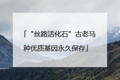 “丝路活化石”古老马种优质基因永久保存