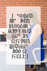 “中国草都” 阿鲁科尔沁旗：从野生牧草亩产 35 公斤到苜蓿草亩产 800 公斤以上
