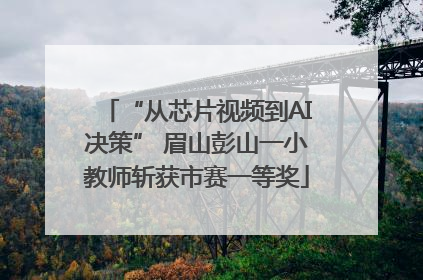 “从芯片视频到AI决策” 眉山彭山一小教师斩获市赛一等奖