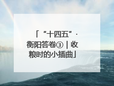 “十四五”·衡阳答卷③｜收粮时的小插曲