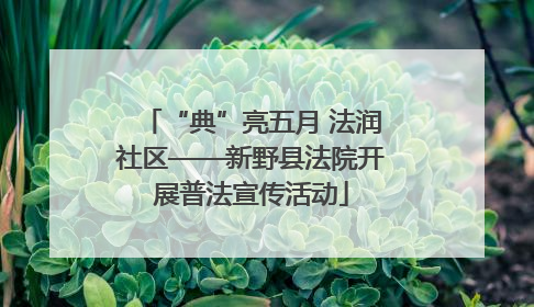 “典”亮五月 法润社区——新野县法院开展普法宣传活动