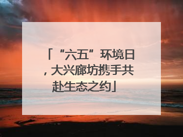 “六五”环境日，大兴廊坊携手共赴生态之约