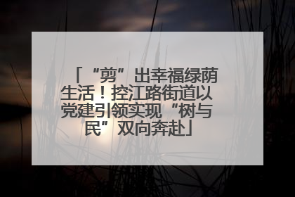 “剪”出幸福绿荫生活！控江路街道以党建引领实现“树与民”双向奔赴
