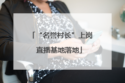“名誉村长”上岗 直播基地落地