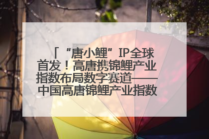 “唐小鲤”IP全球首发！高唐携锦鲤产业指数布局数字赛道——中国高唐锦鲤产业指数暨“唐小鲤”IP全球首发仪式在杭州举行