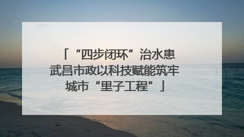 “四步闭环”治水患 武昌市政以科技赋能筑牢城市“里子工程”