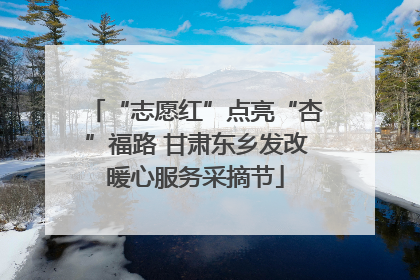 “志愿红”点亮“杏”福路 甘肃东乡发改暖心服务采摘节