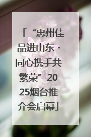 “忠州佳品进山东・同心携手共繁荣”2025烟台推介会启幕