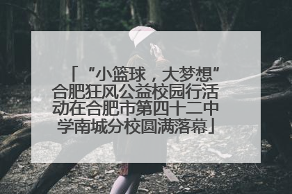 “小篮球，大梦想”合肥狂风公益校园行活动在合肥市第四十二中学南城分校圆满落幕