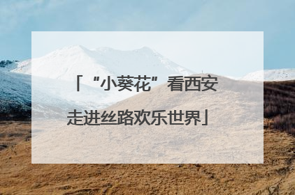 “小葵花”看西安走进丝路欢乐世界