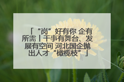 “岗”好有你 企有所需丨干事有舞台、发展有空间 河北国企抛出人才“橄榄枝”
