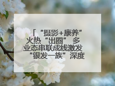 “摄影+康养”火热“出圈” 多业态串联成线激发“银发一族”深度游潜力