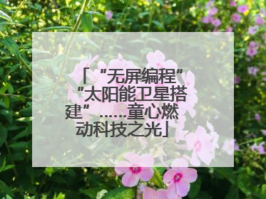 “无屏编程”“太阳能卫星搭建”……童心燃动科技之光