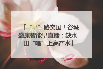 “旱”路突围！谷城盛康智能旱直播：缺水田“喝”上高产水