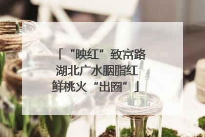 “映红”致富路 湖北广水胭脂红鲜桃火“出圈”