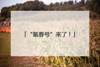 “氢春号”来了！