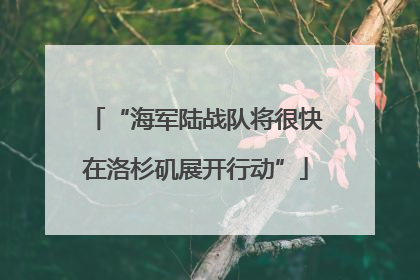 “海军陆战队将很快在洛杉矶展开行动”