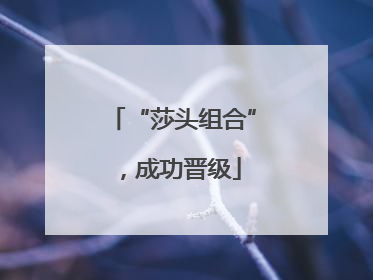 “莎头组合”，成功晋级