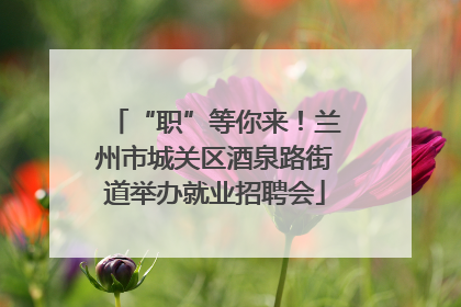 “职”等你来！兰州市城关区酒泉路街道举办就业招聘会