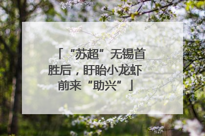 “苏超”无锡首胜后，盱眙小龙虾前来“助兴”