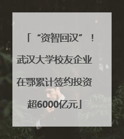 “资智回汉”！武汉大学校友企业在鄂累计签约投资超6000亿元