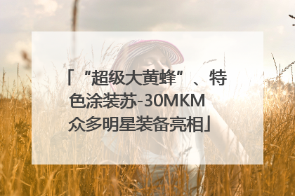 “超级大黄蜂”、特色涂装苏-30MKM 众多明星装备亮相