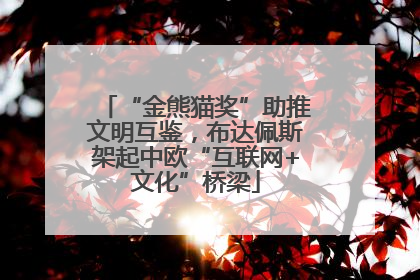 “金熊猫奖”助推文明互鉴，布达佩斯架起中欧“互联网+文化”桥梁