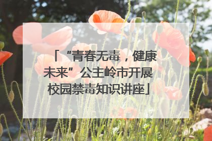 “青春无毒，健康未来”公主岭市开展校园禁毒知识讲座