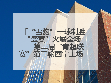 “雪豹”一球制胜 “盛宴”火爆全场——第二届“青超联赛”第二轮西宁主场比赛见闻