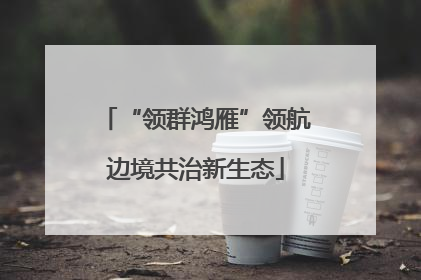 “领群鸿雁”领航边境共治新生态