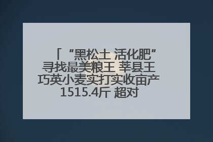 “黑松土 活化肥”寻找最美粮王 莘县王巧英小麦实打实收亩产1515.4斤 超对照田144斤！