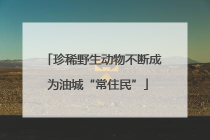 珍稀野生动物不断成为油城“常住民”