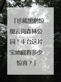 珍稀黑鹳惊现云岗森林公园！丰台这片宝地藏着多少惊喜？