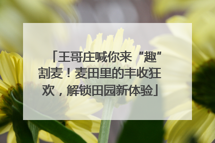 王哥庄喊你来“趣”割麦！麦田里的丰收狂欢，解锁田园新体验