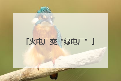 火电厂变“绿电厂”