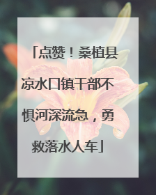 点赞！桑植县凉水口镇干部不惧河深流急，勇救落水人车
