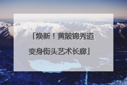 焕新！黄陂锦秀道变身街头艺术长廊