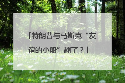 特朗普与马斯克“友谊的小船”翻了？