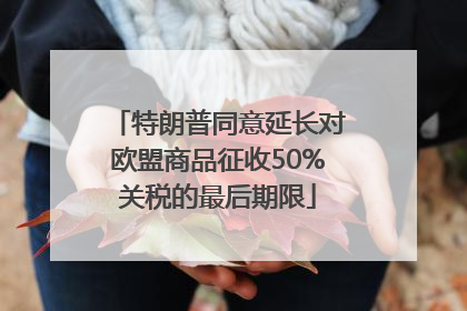 特朗普同意延长对欧盟商品征收50%关税的最后期限