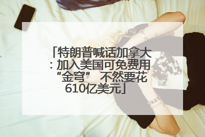 特朗普喊话加拿大：加入美国可免费用“金穹” 不然要花610亿美元