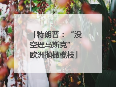 特朗普：“没空理马斯克” 欧洲抛橄榄枝