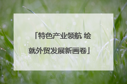 特色产业领航 绘就外贸发展新画卷