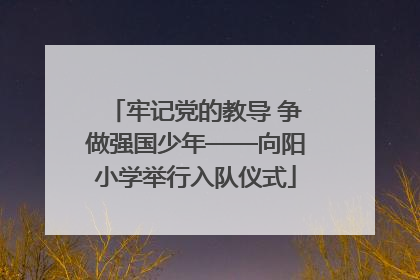牢记党的教导 争做强国少年——向阳小学举行入队仪式